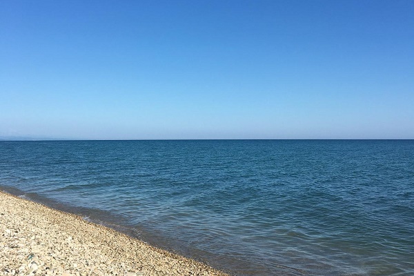 Гостевой дом Фазенда. Абхазия. Гудаута.